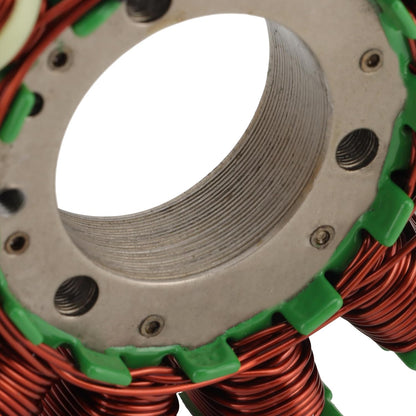 Bobine de stator d'allumage GOOFIT 12 pôles pour Hyosung GT250 GV250 2002-2010