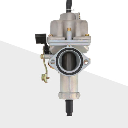 Carburetor PZ30 30mm Cable Choke for CG 150cc 200cc 250cc ATV, Dirt Bike, Quad