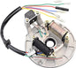 GOOFIT 2 Coil Magneto Stator for 50cc 70cc 90cc 110cc 125cc Taotao Kazuma SSR Kick Start Dirt Bike ATV