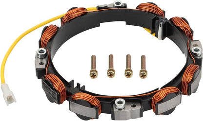 Briggs Stratton 592829 Lichtmaschinenstator 21000 31000 38000 44000