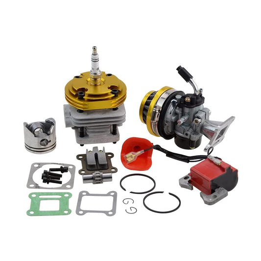 Cylinder Kits 44mm With Carburetor For 47cc 49cc 2-Stroke Engine