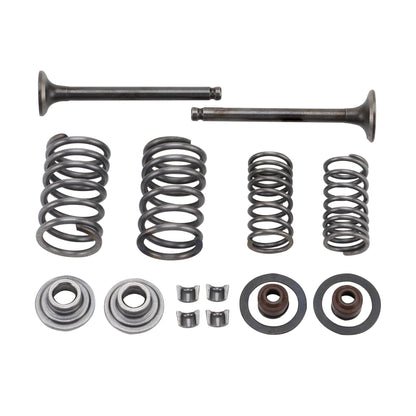 GOOFIT Intake Valve and Exhaust Valve Springs Stem Seals for GY6 50cc 139QMB ATV Scooter Roketa Taotao Sunl