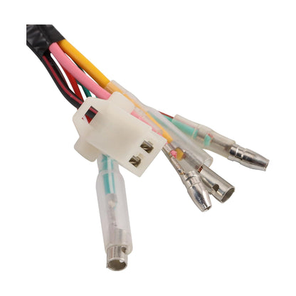 Magneto Stator for Lifan ZS155 150cc/155cc 4-Stroke Engine | Pit Bike & Off-Road