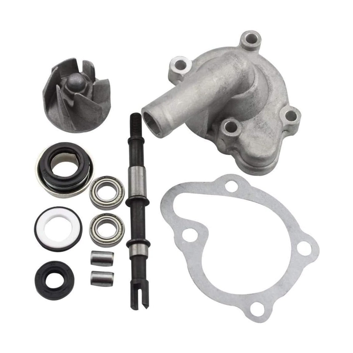 GOOFIT Water Pump Assembly Replacement for Helix CN250 Elite CH250 250cc Moped Scooter Go Kart ATV Quad