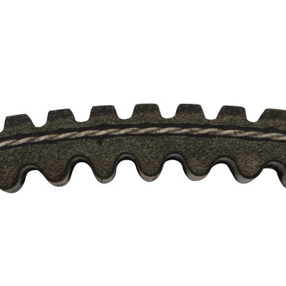 Drive Belt for Massimo MXU 1000 XF-3 | 21140301101