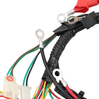 Main Wiring Harness for 50cc 70cc 90cc 110cc 125cc Chinese ATV Dirt Bike Go Kart