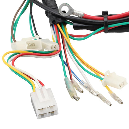 Main Wiring Harness for 50cc 70cc 90cc 110cc 125cc Chinese ATV Dirt Bike Go Kart